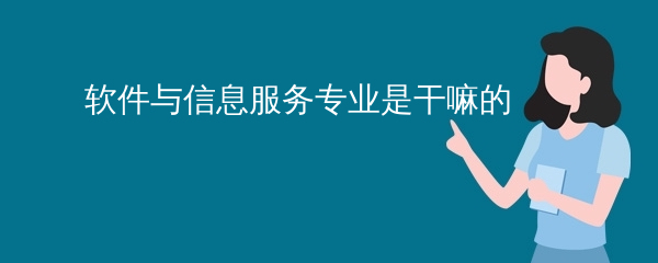 软件与信息服务专业 数字时代的基石与引擎